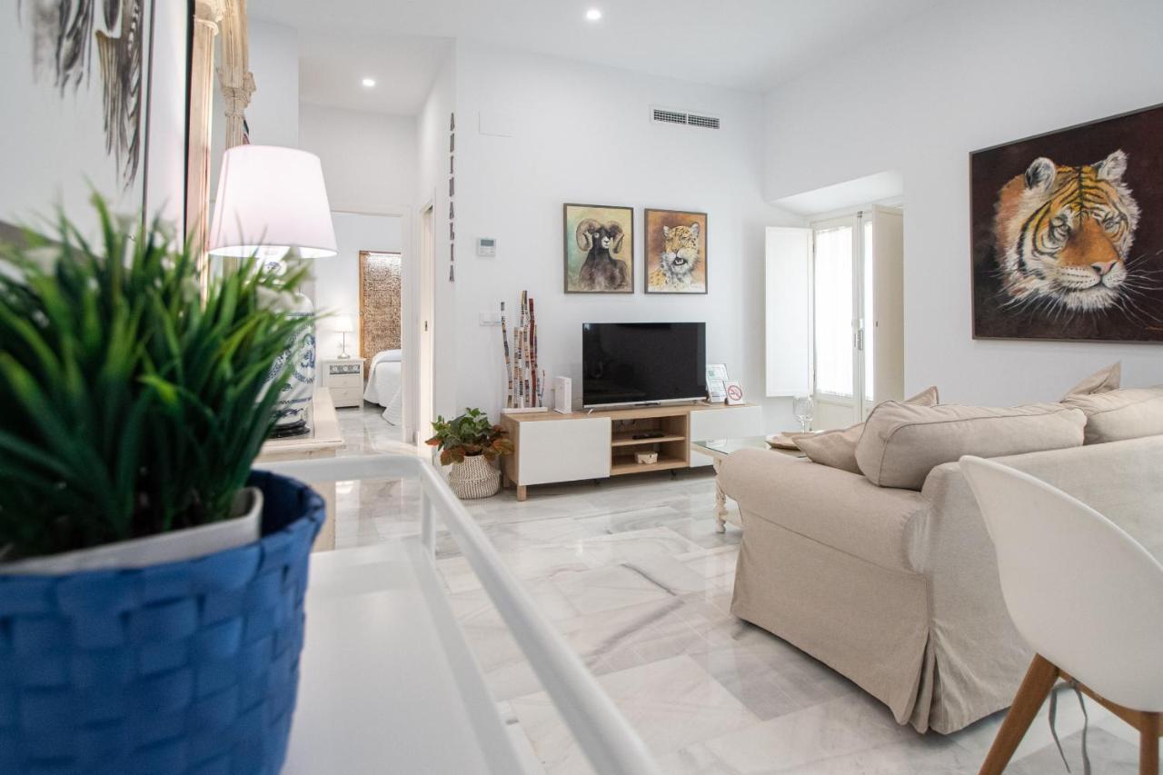 Apartamento Animalia Cádiz Exterior foto